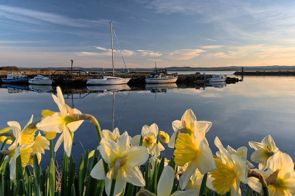 A quiet coastal village scene in soft light